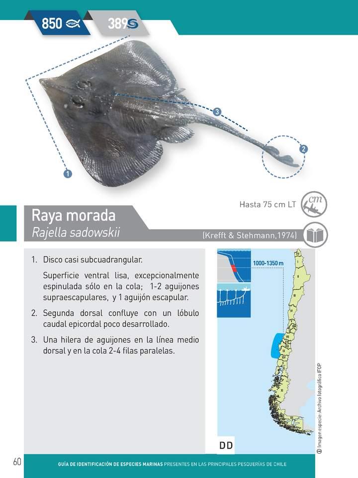 Imagen portada