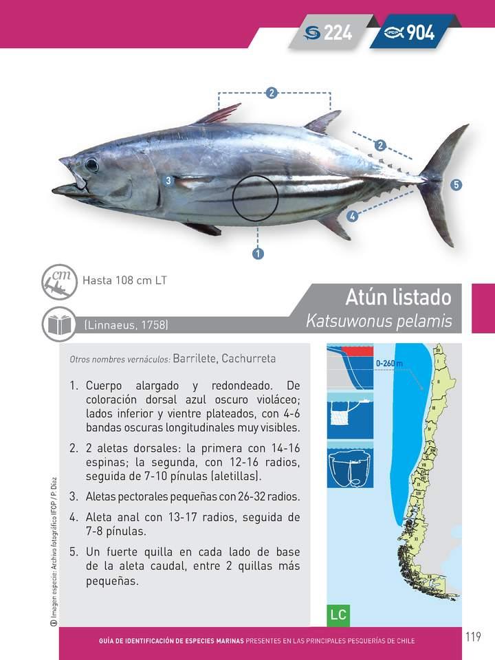 Imagen portada