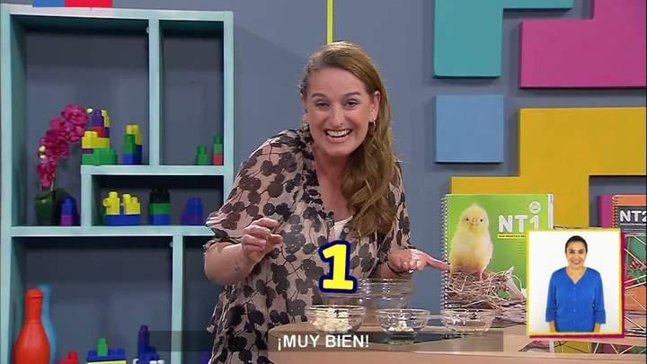 Imagen portada