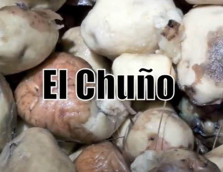 Imagen portada