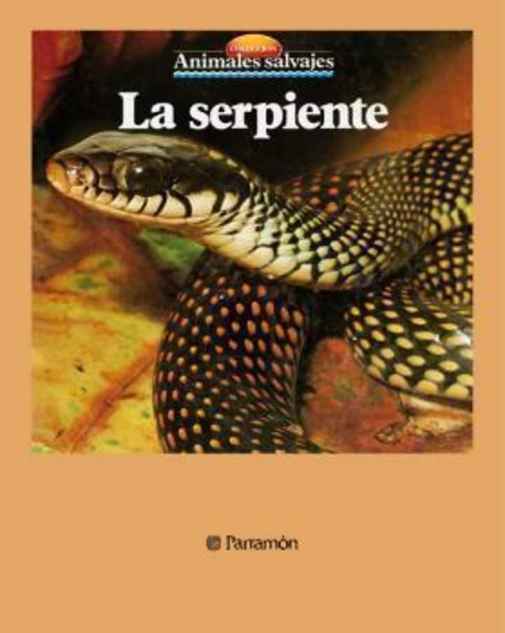 Imagen portada