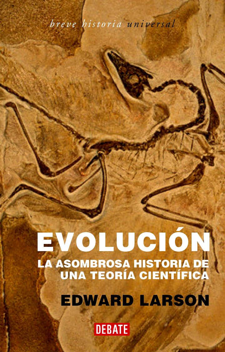 Imagen portada
