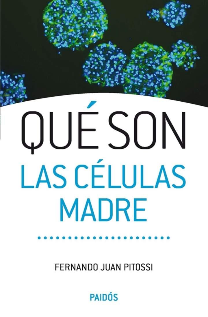 Imagen portada
