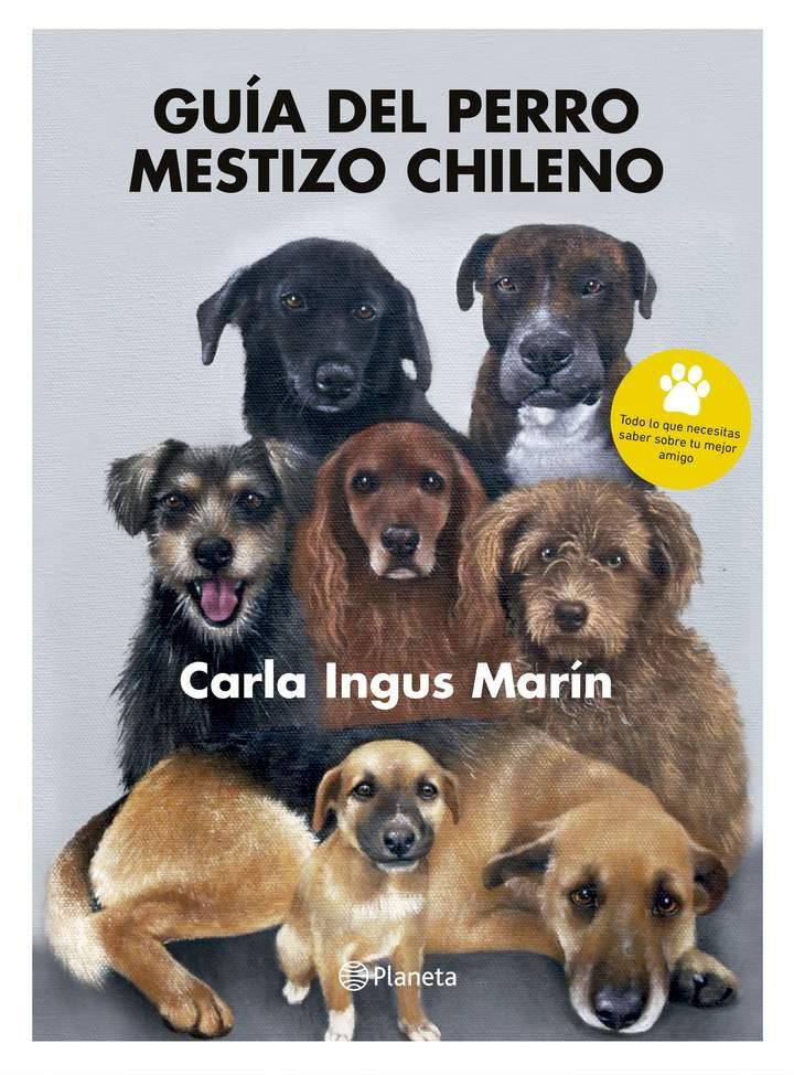 Imagen portada