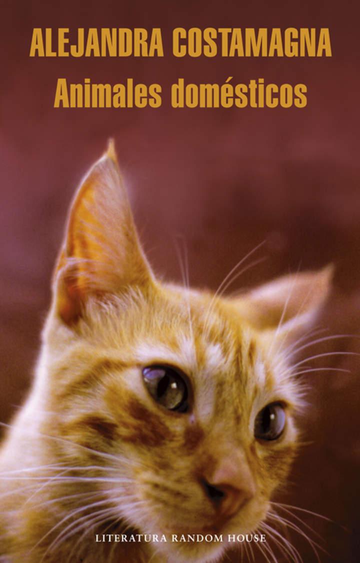 Imagen portada
