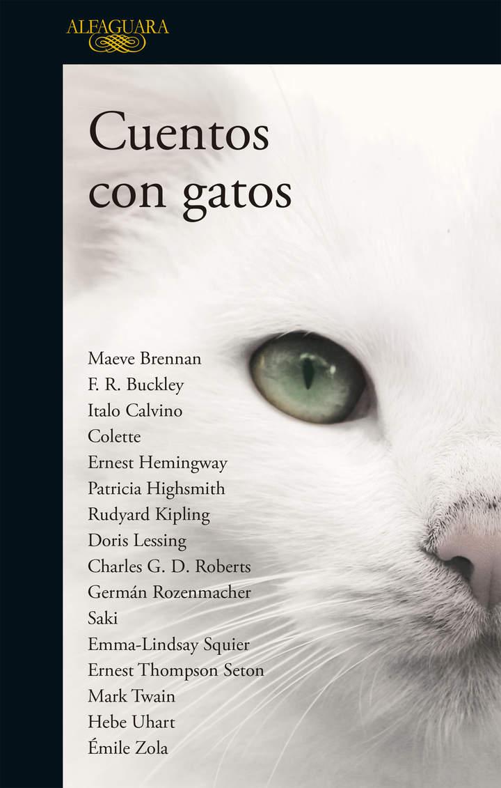 Imagen portada