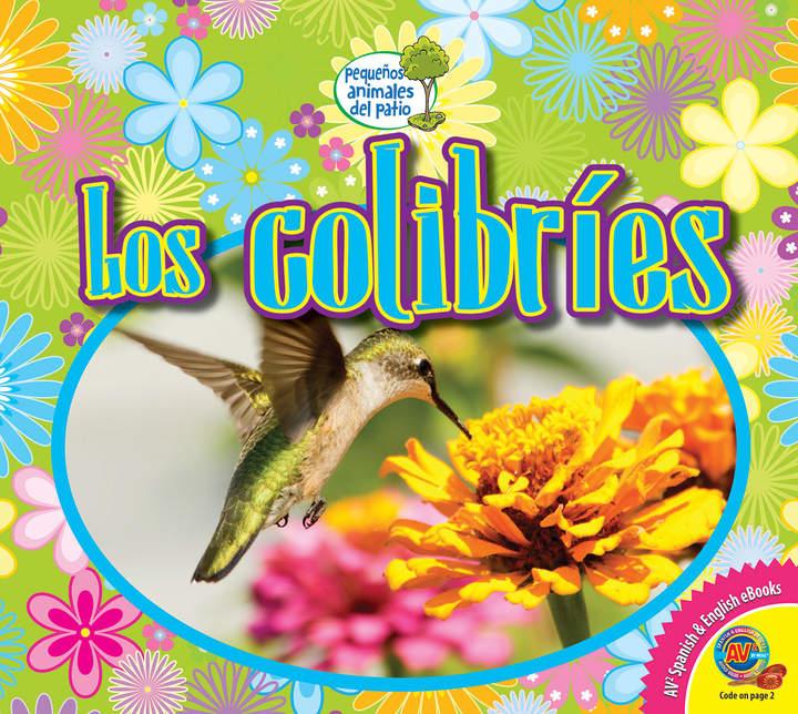 Imagen portada