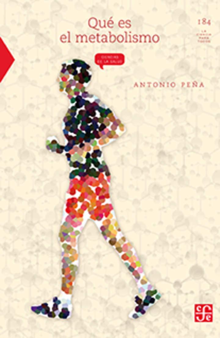 Imagen portada