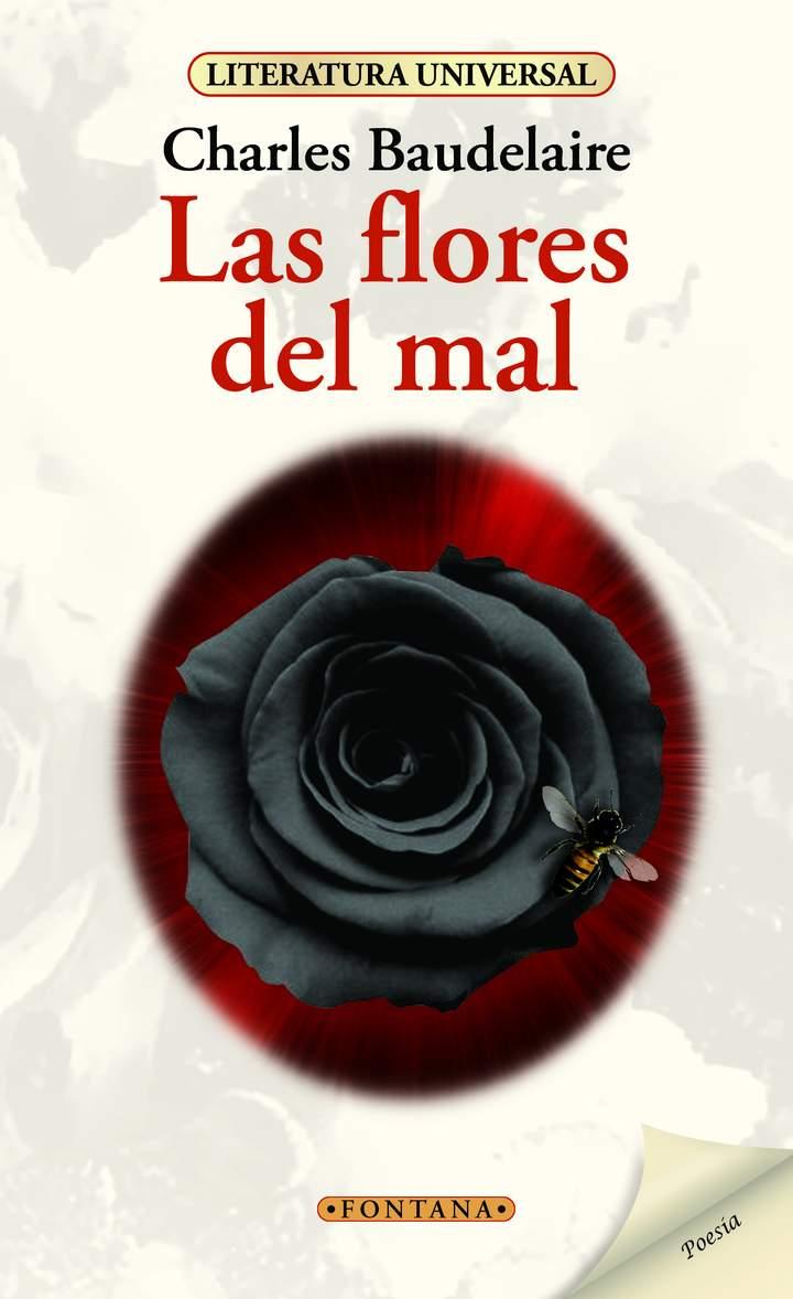 Imagen portada