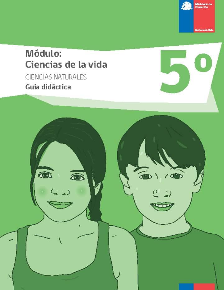 Imagen portada