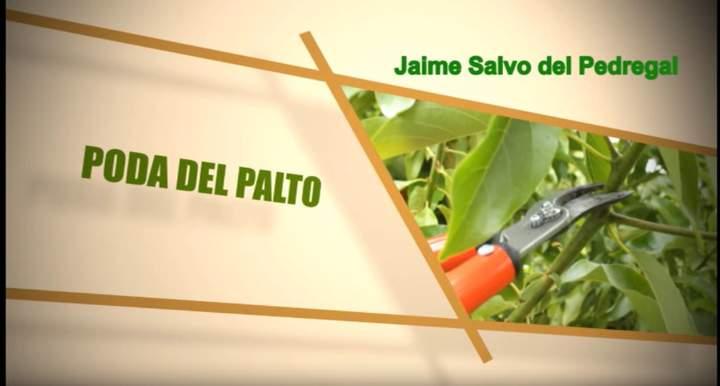 Poda del palto Imagen portada